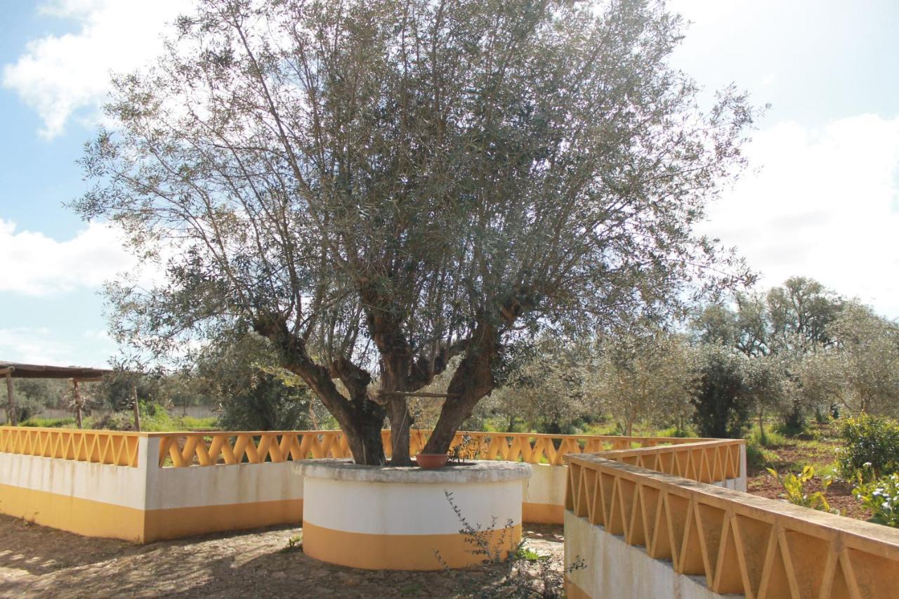 Montinho Do Palanque Vila Viana do Alentejo Exterior foto