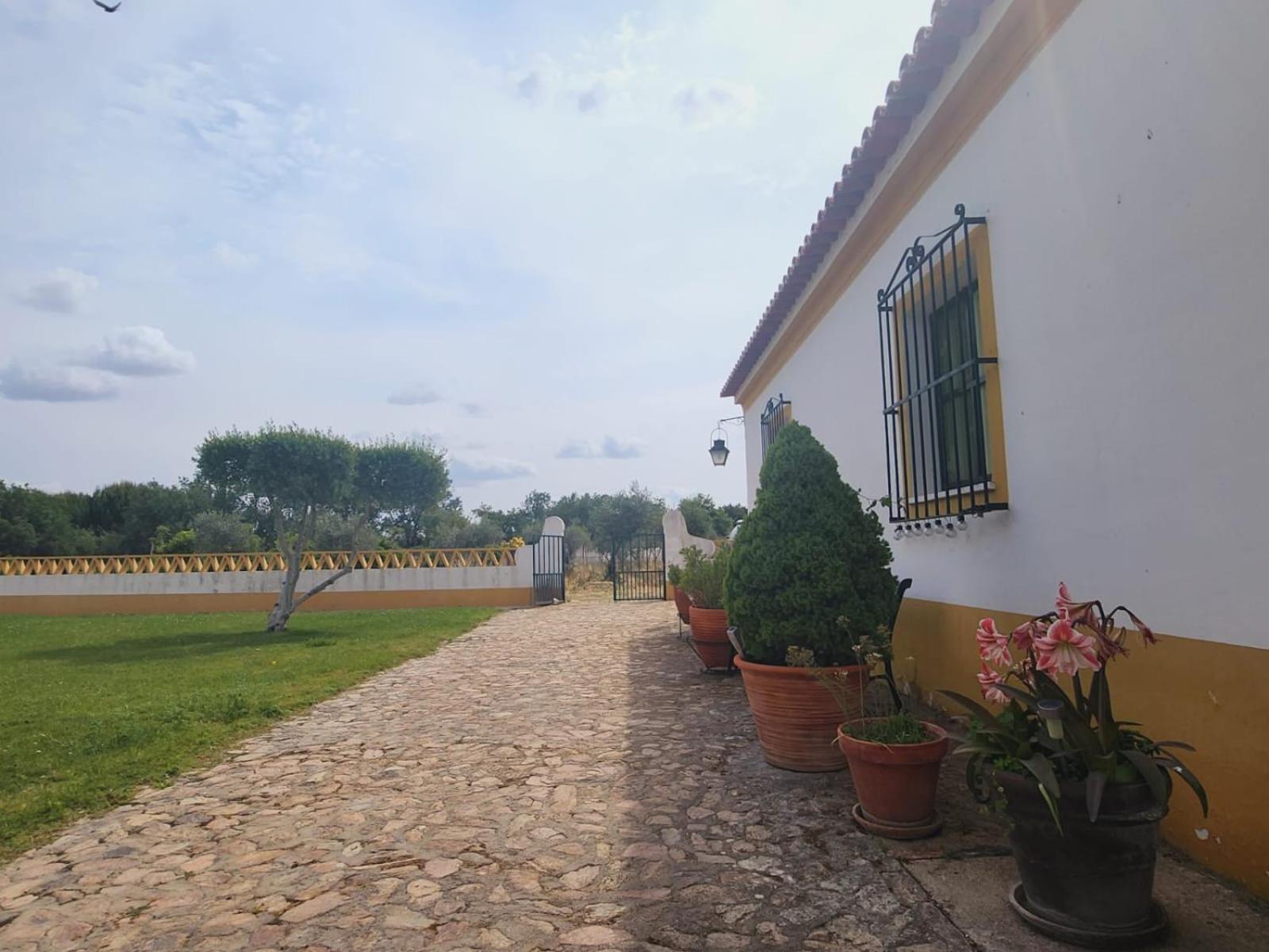 Montinho Do Palanque Vila Viana do Alentejo Exterior foto