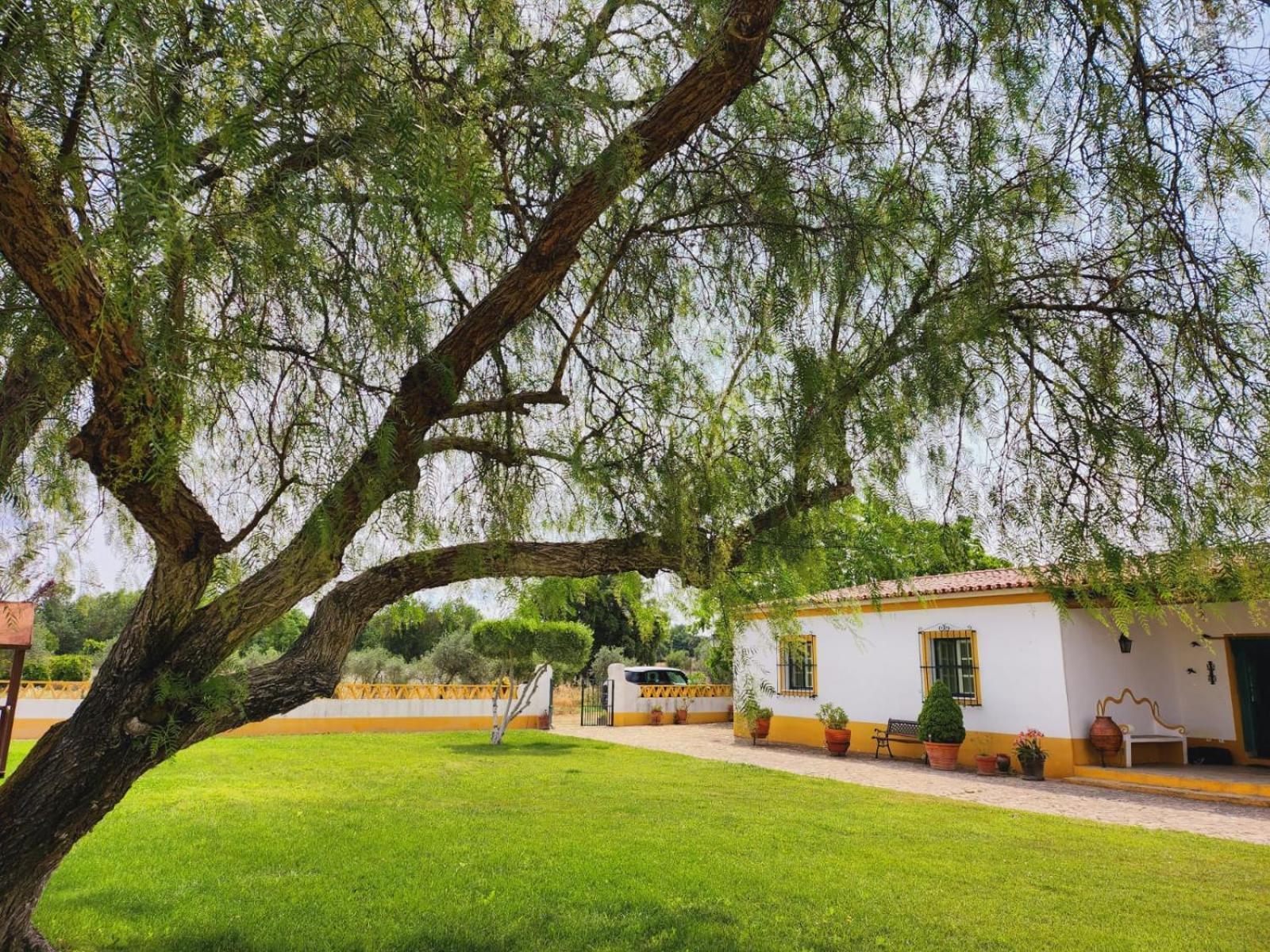 Montinho Do Palanque Vila Viana do Alentejo Exterior foto