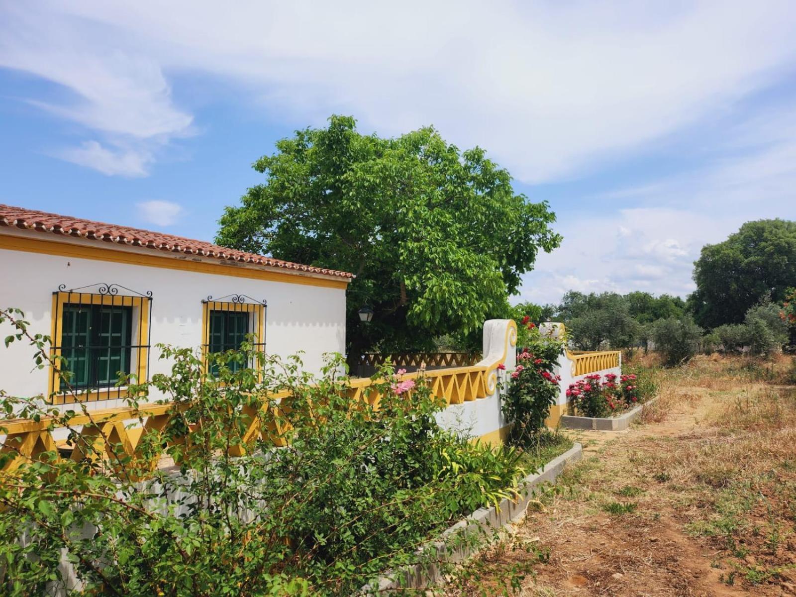 Montinho Do Palanque Vila Viana do Alentejo Exterior foto